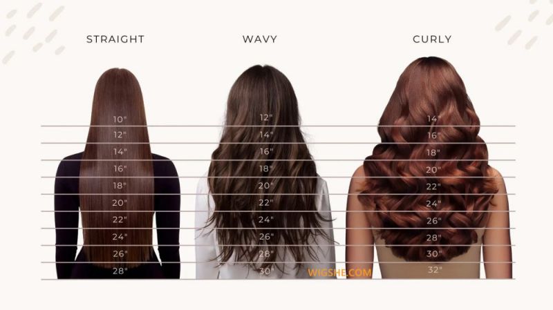 Wig Shopping 101: Your Ultimate Guide to Finding the Perfect Fit! - WigShe